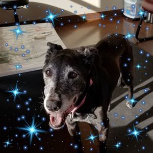 Meet your Posher, Sabrina